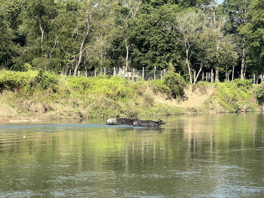 Rapti River