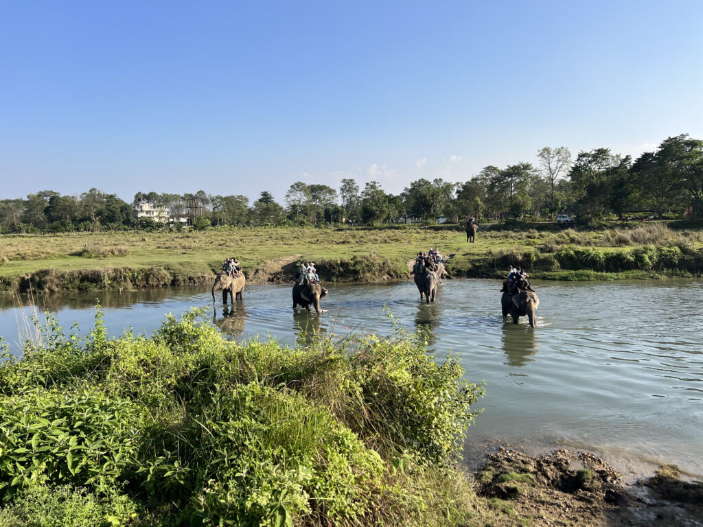 Chitwan