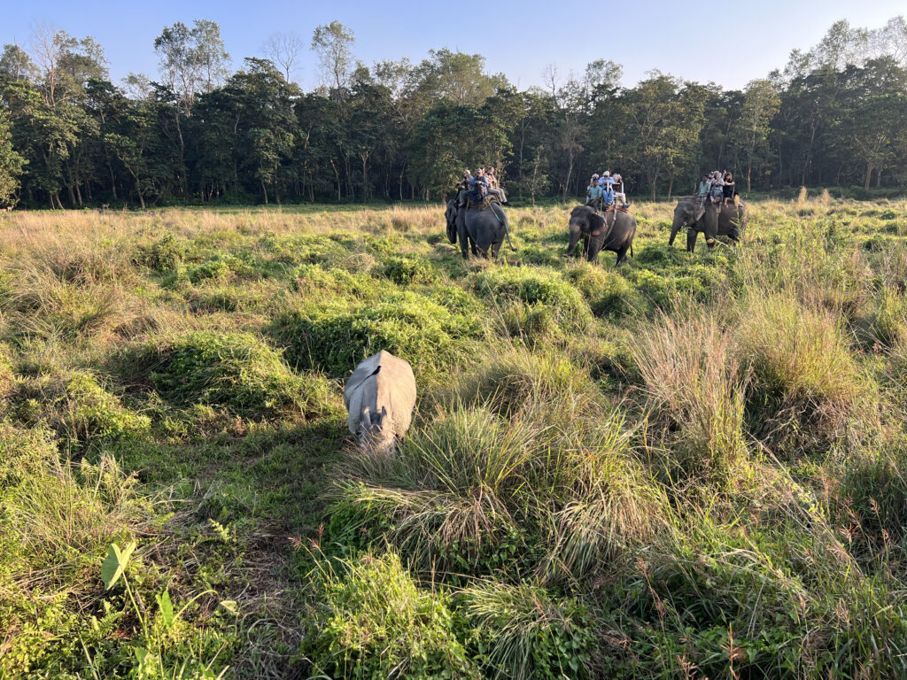 Chitwan